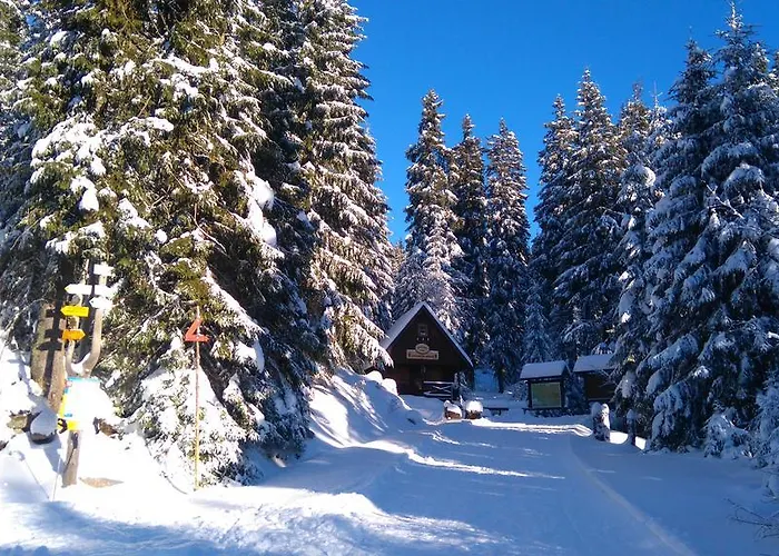 Ploc 3* Harrachov